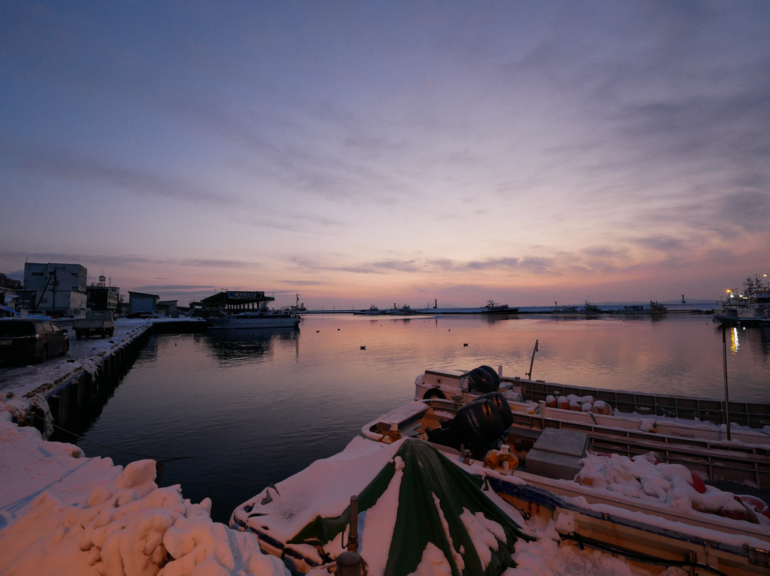 Rausu Seaport景点图片