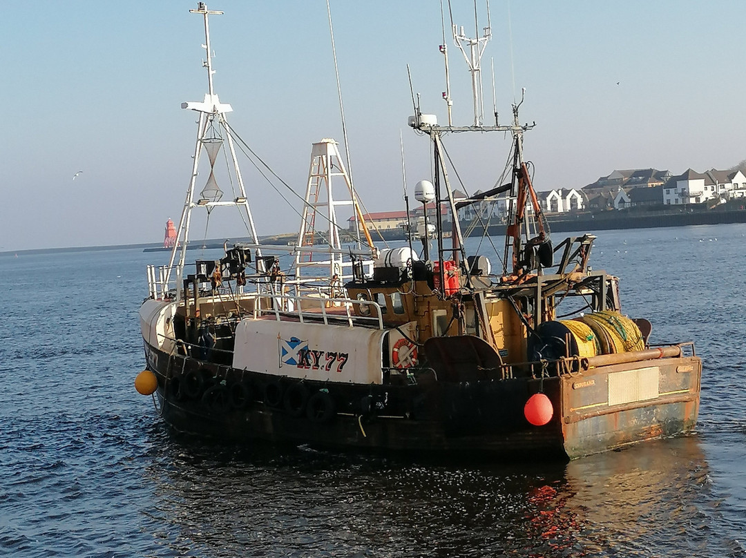 North Shields Fish Quay-North Shields必去景点