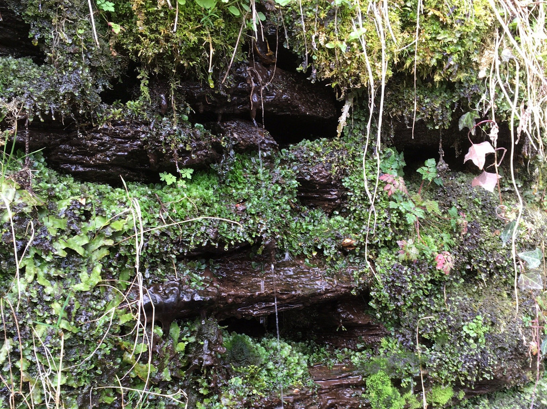 Balade a Pied au Depart de Saint-Lary-Saint-Lary-Soulan必去景点