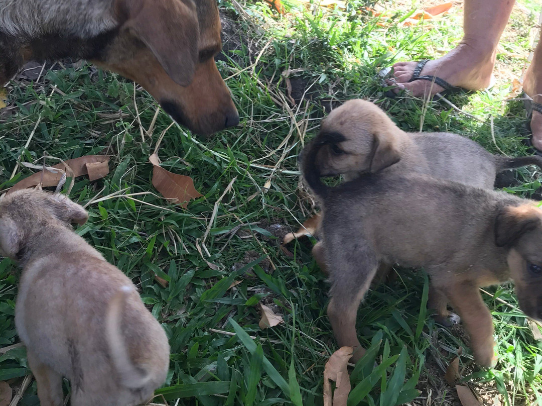 Rainforest Riding-Portsmouth必去景点