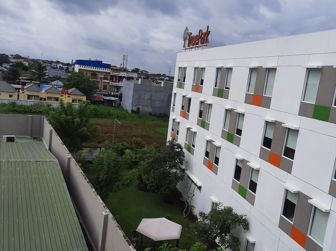 TreePark Hotel Banjarmasin主图
