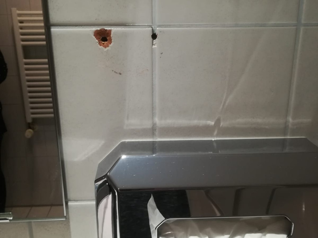 亚历山大酒店主图