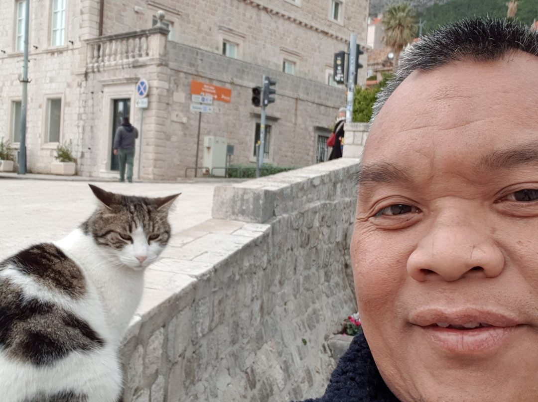 BALKAN TRAVEL SERVICES景点图片