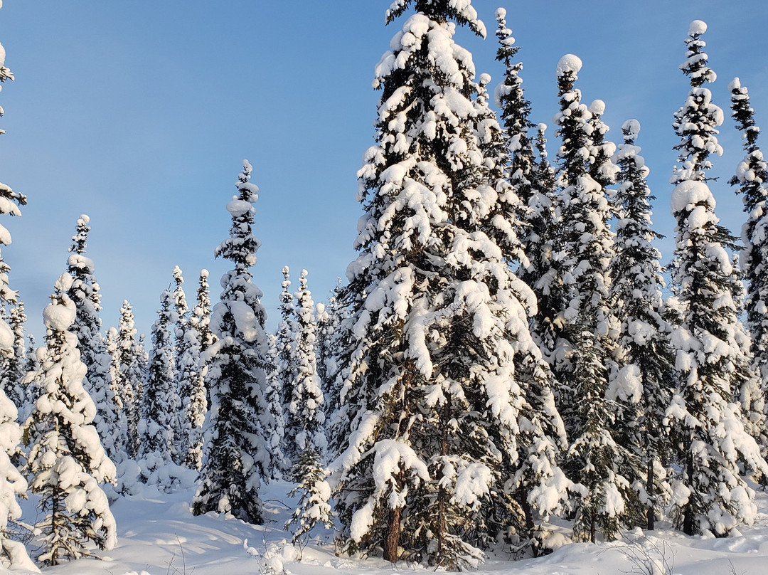 Fairbanks Snow Sleighers-费尔班克斯必去景点