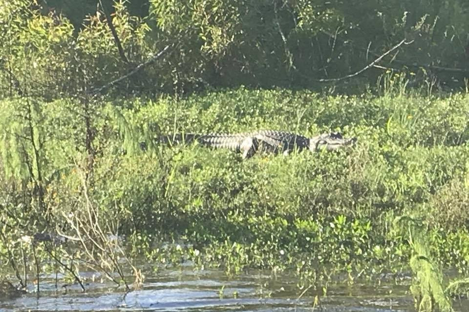 Green Boat Tour Company-阿卡迪亚必去景点