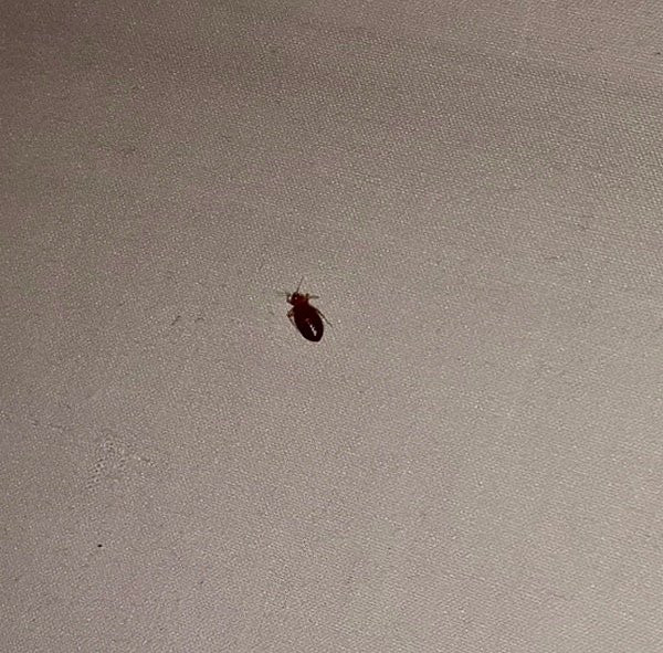 Baymont by Wyndham Muskegon主图