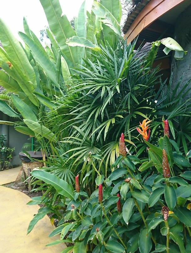 彼得潘和胡克船长度假村主图