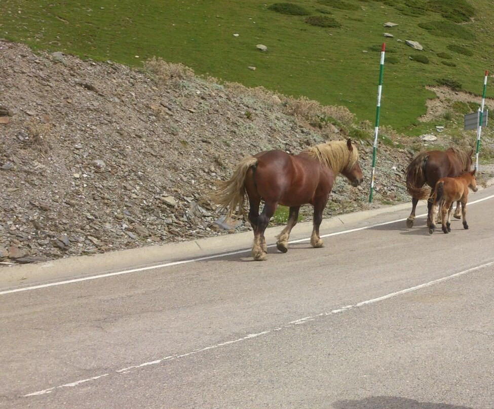 La Bonaigua Hotel主图