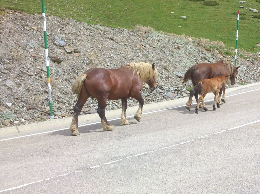 La Bonaigua Hotel主图