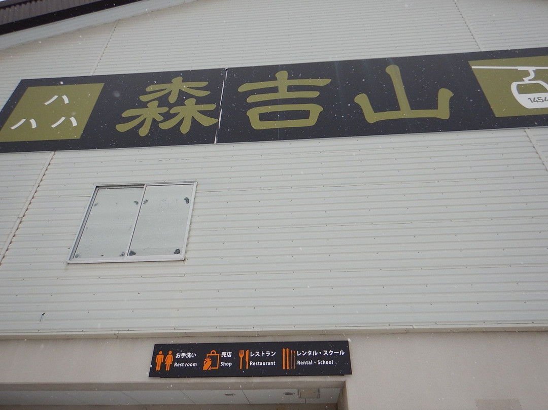 Mt.Moriyoshi ANI SKI RESORT景点图片