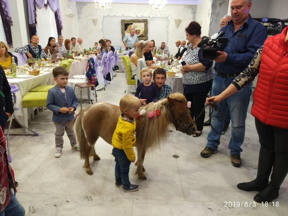 Pony Far景点图片