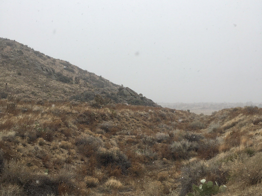 Piedra Lisa Trail-Tijeras必去景点