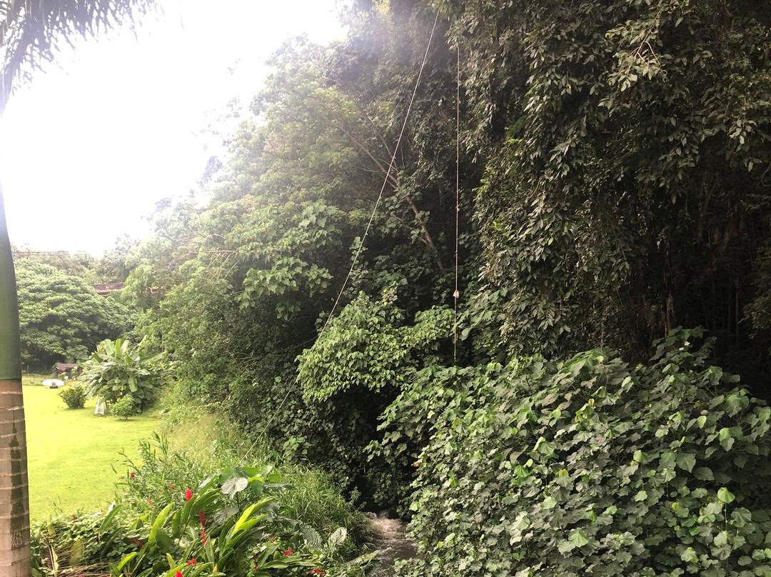 Kapaia Suspension Bridge-利胡埃必去景点