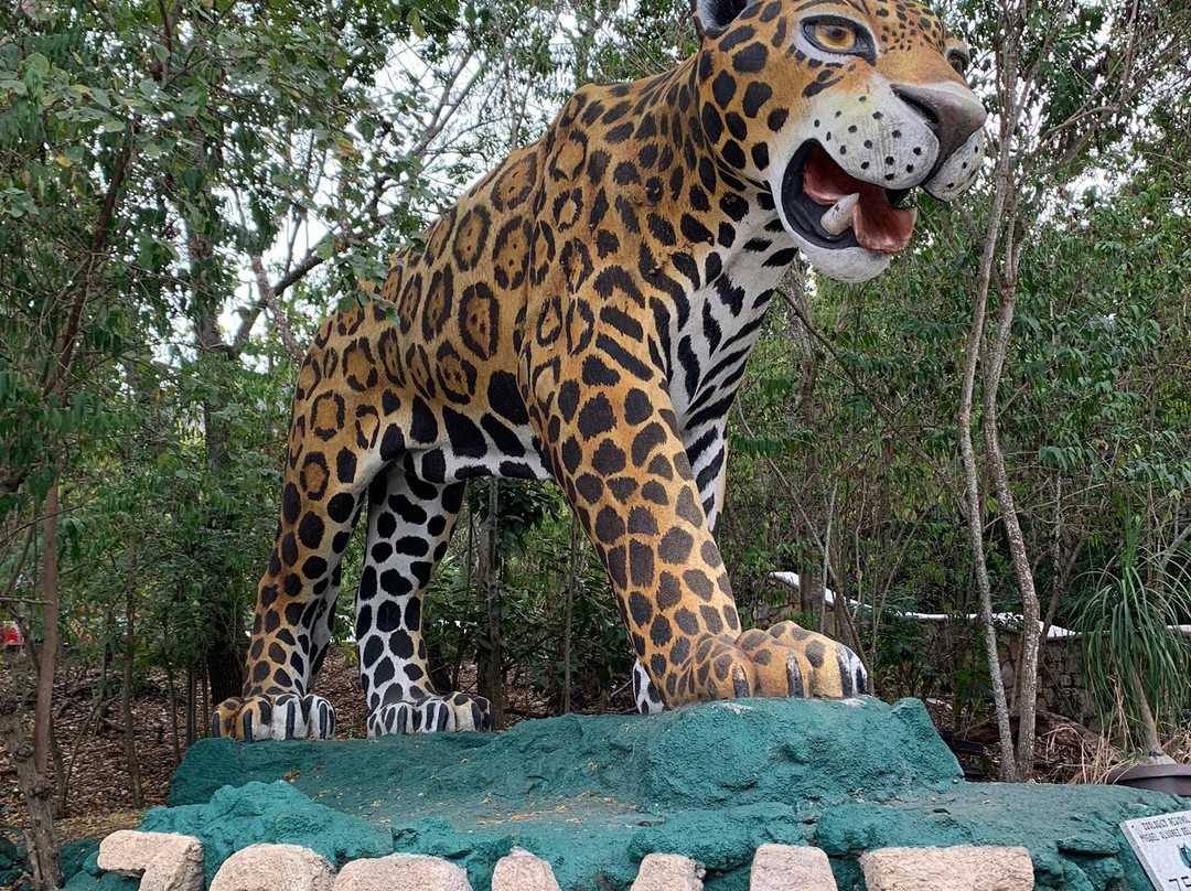 Zoológico Miguel Álvarez del Toro景点图片
