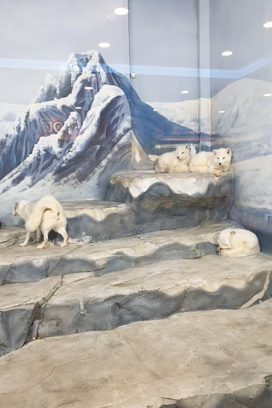 Play Aquarium Bucheon-富川市必去景点