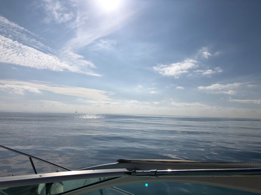 Ocean Dreams Charter景点图片