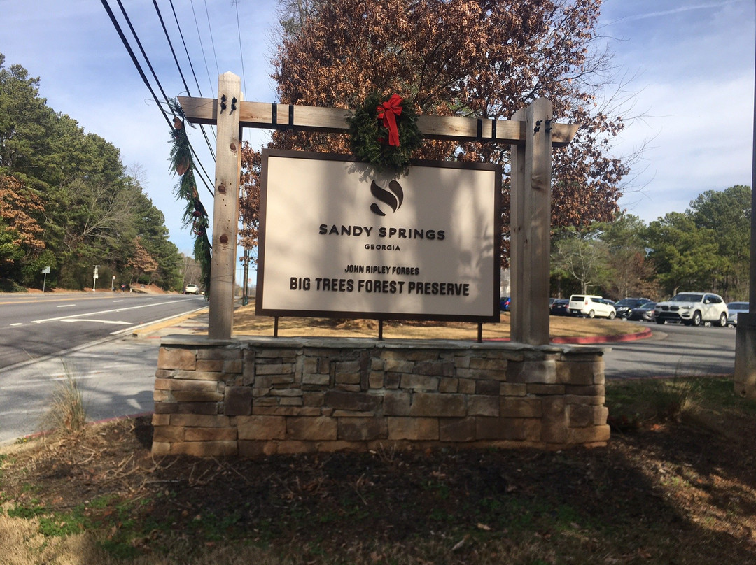 Big Trees Forest Preserve-桑迪斯普林斯必去景点