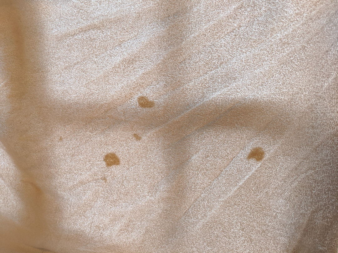 Old Grey Mare Hotel主图