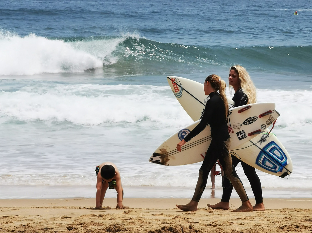 Playa Renaca-比尼亚德尔马必去景点