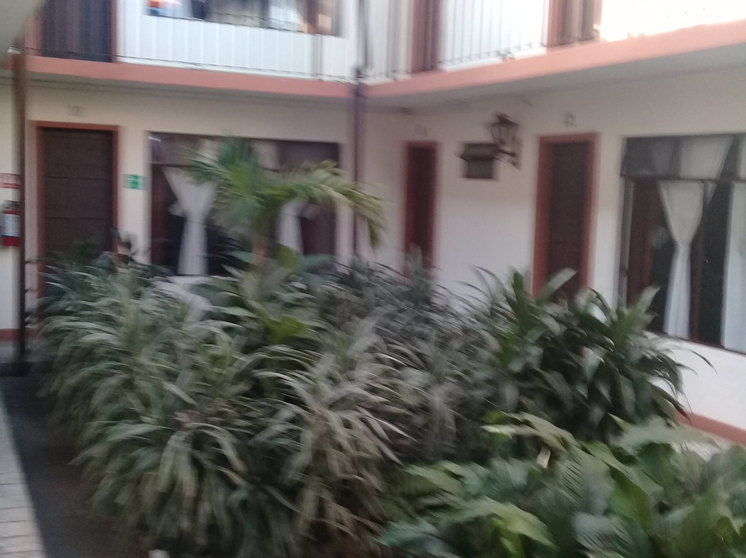 Hotel Villa de Flores主图