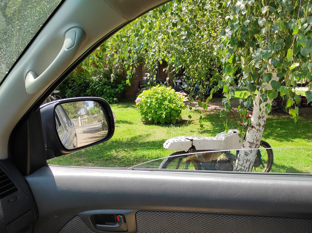 Museo de Motos Clásicas Gosan Class-Las Cabras必去景点