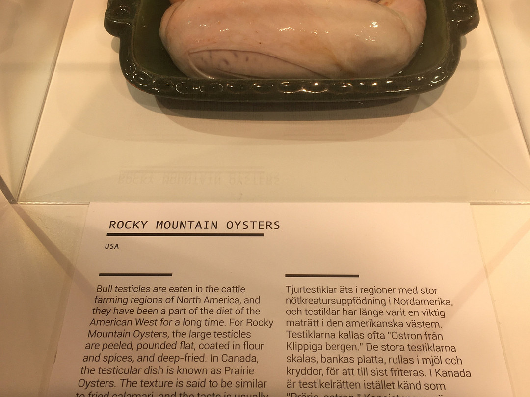 Disgusting Food Museum-马尔默必去景点