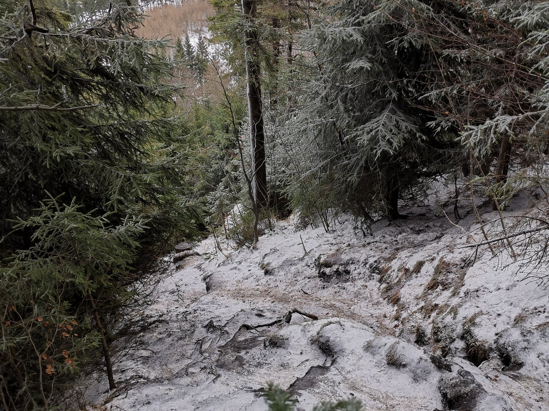 Waligora-Mieroszow必去景点