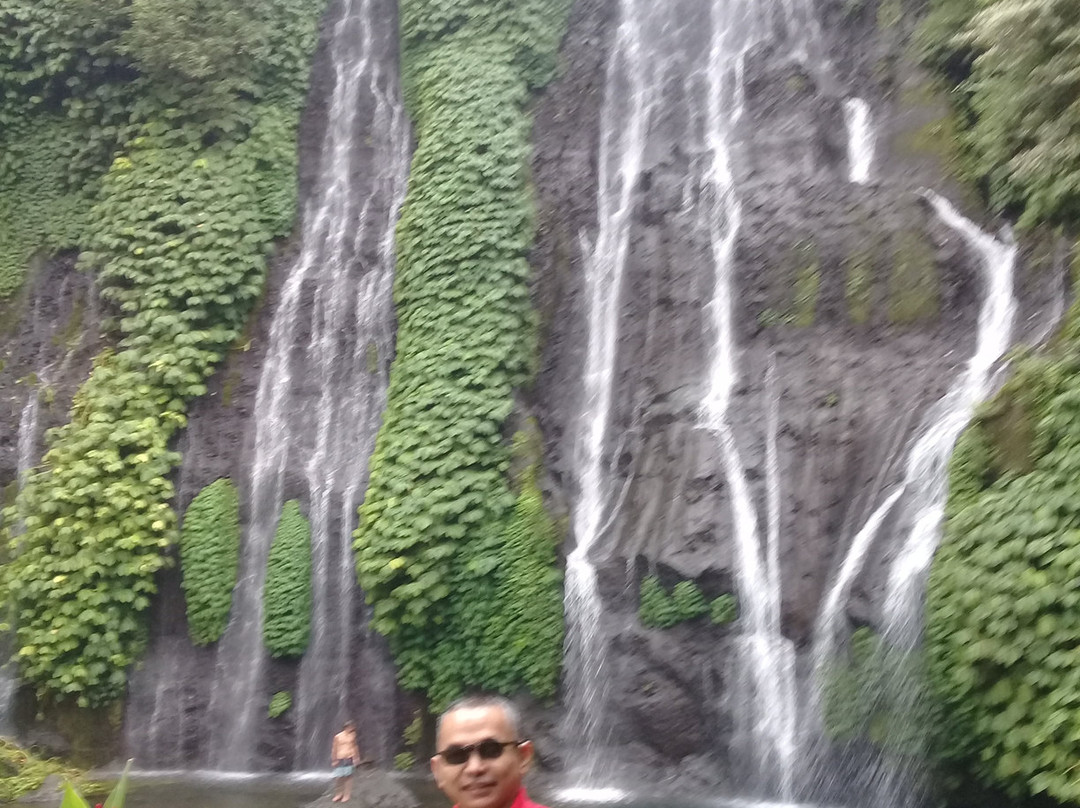 Banyumala Twin Waterfalls景点图片