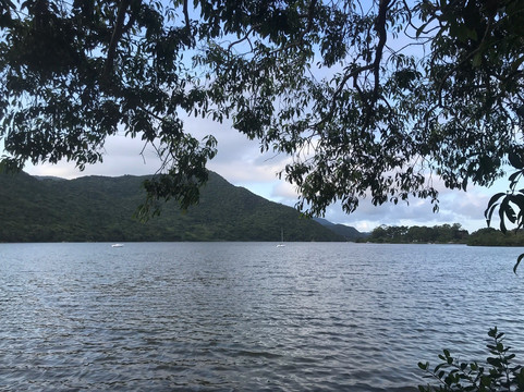 Parque Estadual do Rio Vermelho-弗洛里亚诺波利斯必去景点