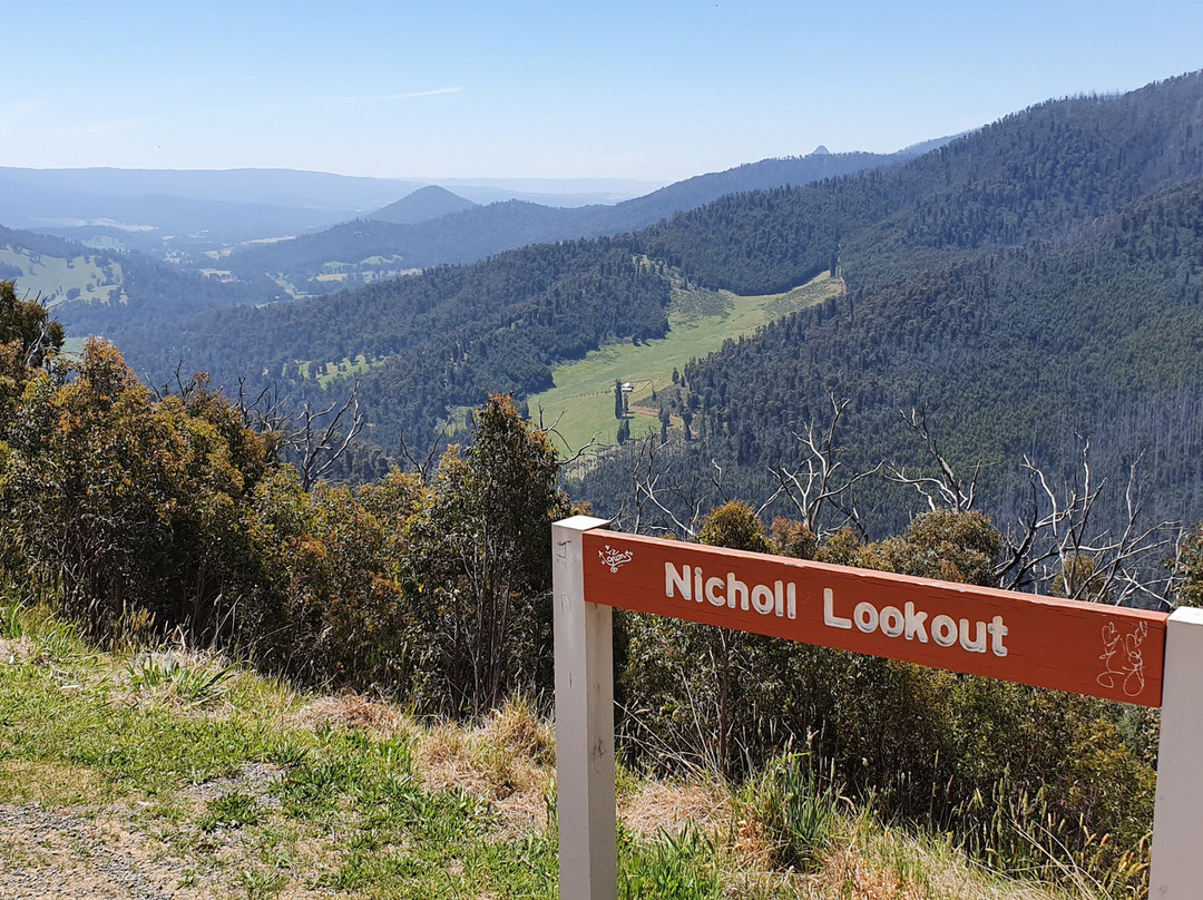 Nicoll Lookout景点图片