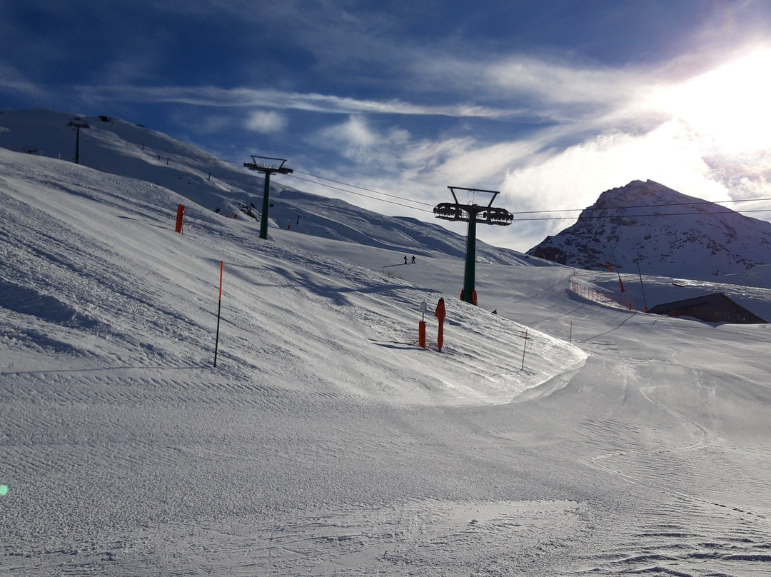 Tana Della Volpe主图