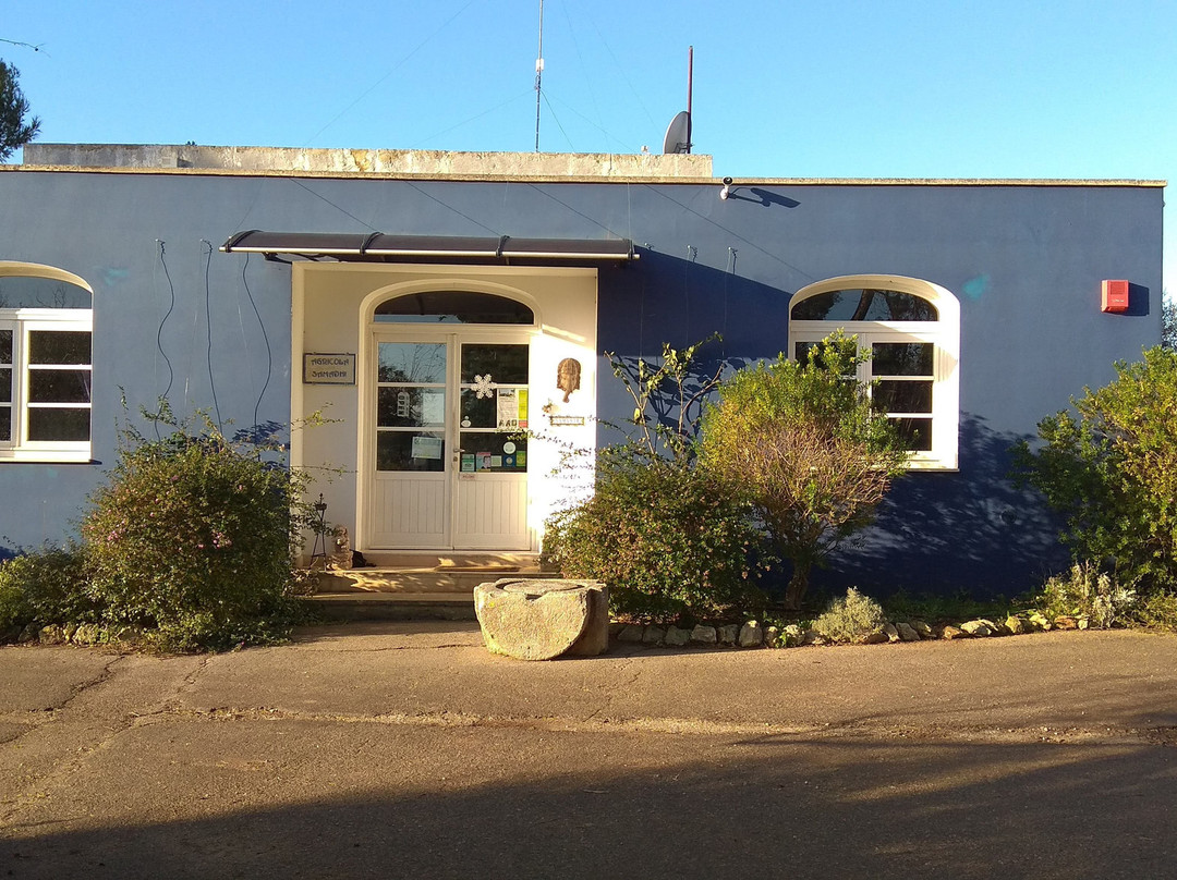 Agricola Samadhi主图