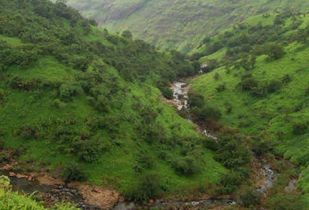 Igatpuri Villas主图