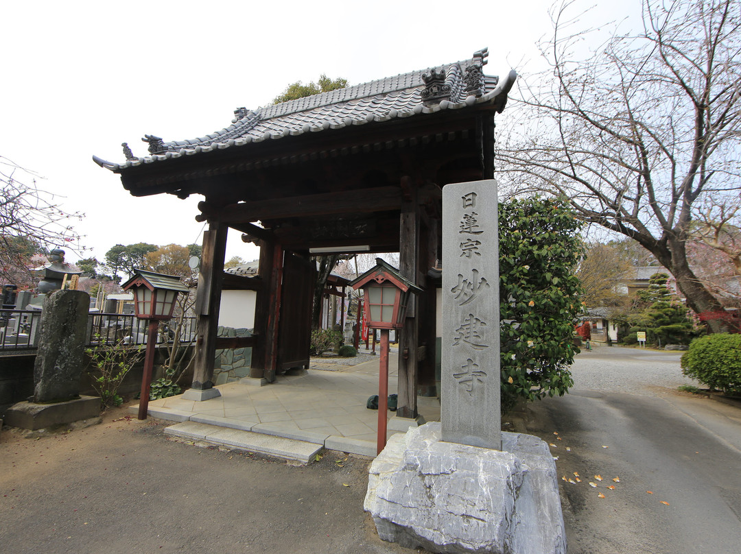 Myokenji Temple景点图片