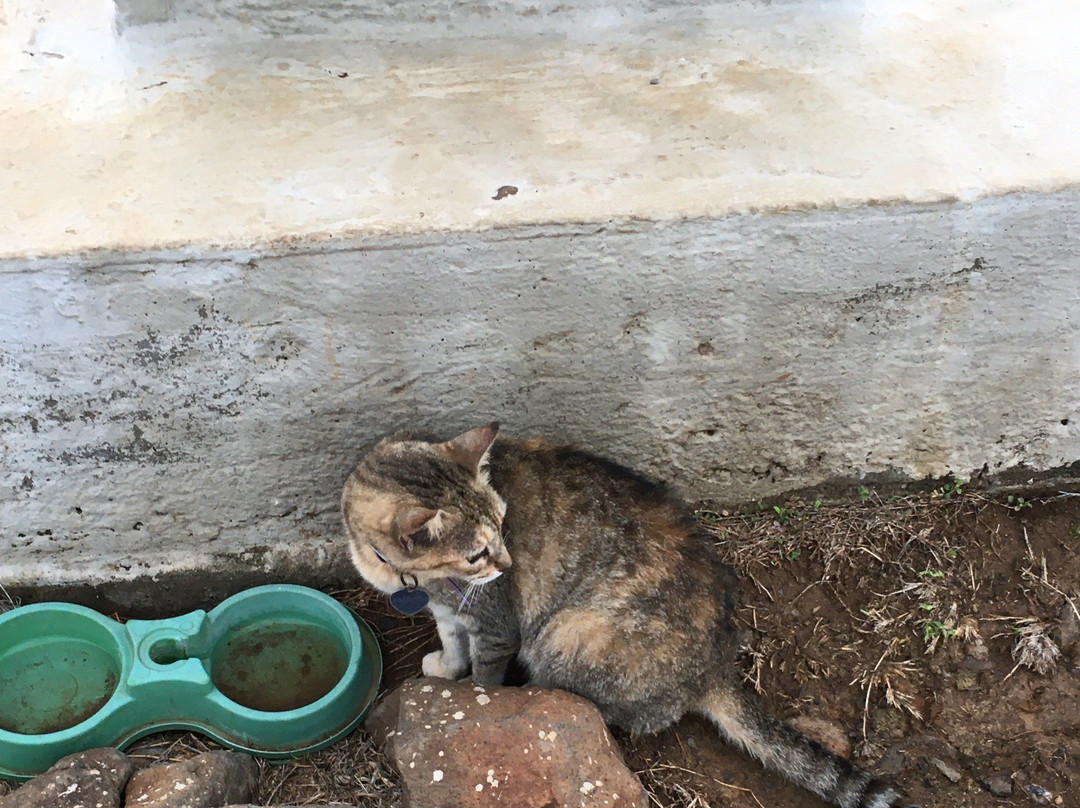 Capela de São Pedro-费尔南多-迪诺罗尼亚群岛必去景点