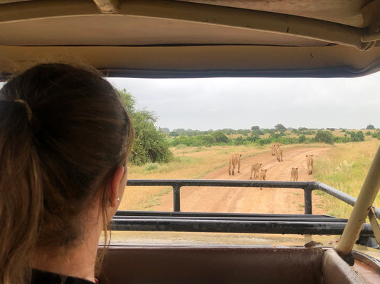 Simo Kenya Safaris-蒙巴萨必去景点