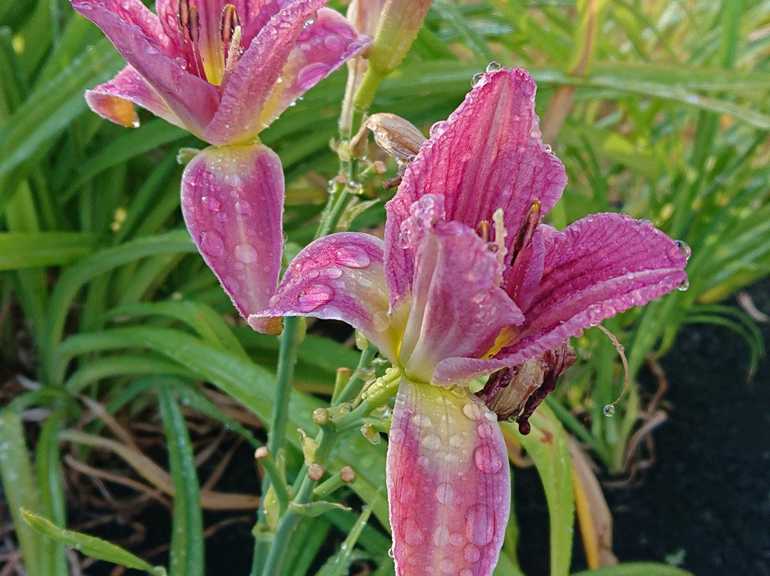 蒂尔顿快捷假日&套房酒店主图