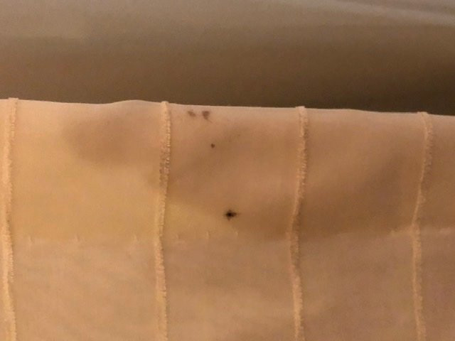 巴特尔斯维尔费尔菲尔德客栈及套房酒店主图