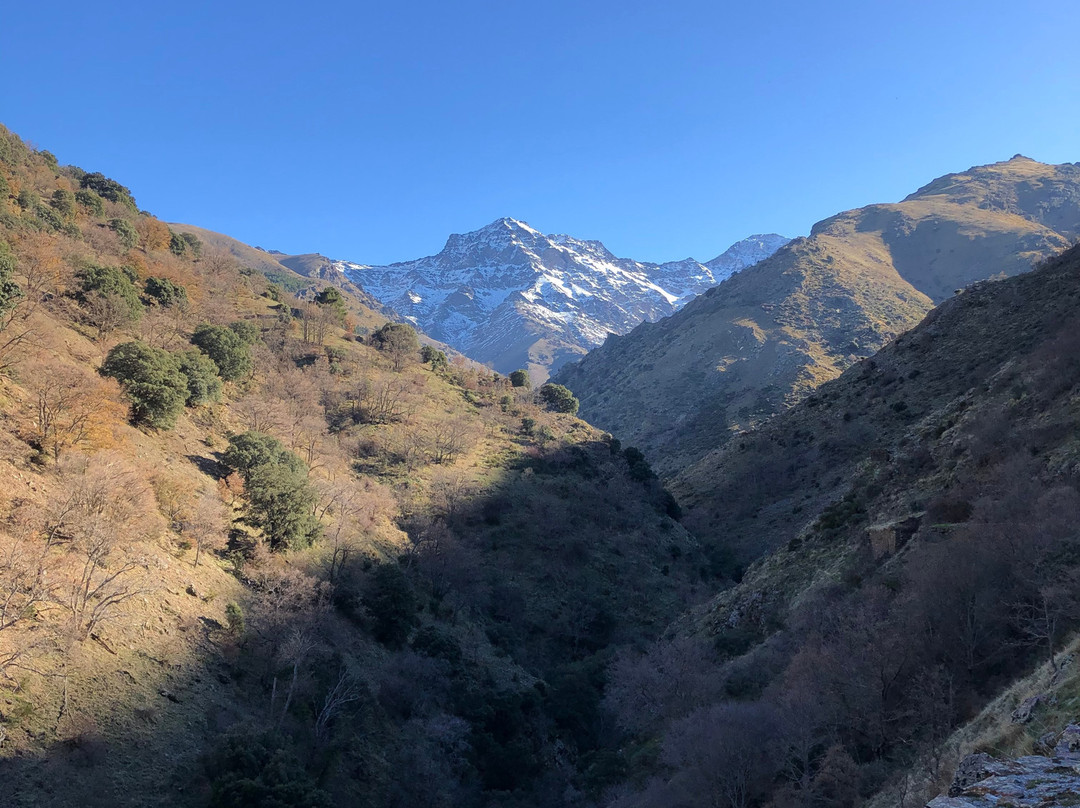 La Vereda de la Estrella景点图片