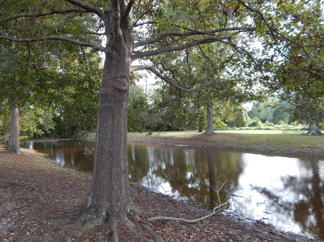 Grant's canal-Delta必去景点