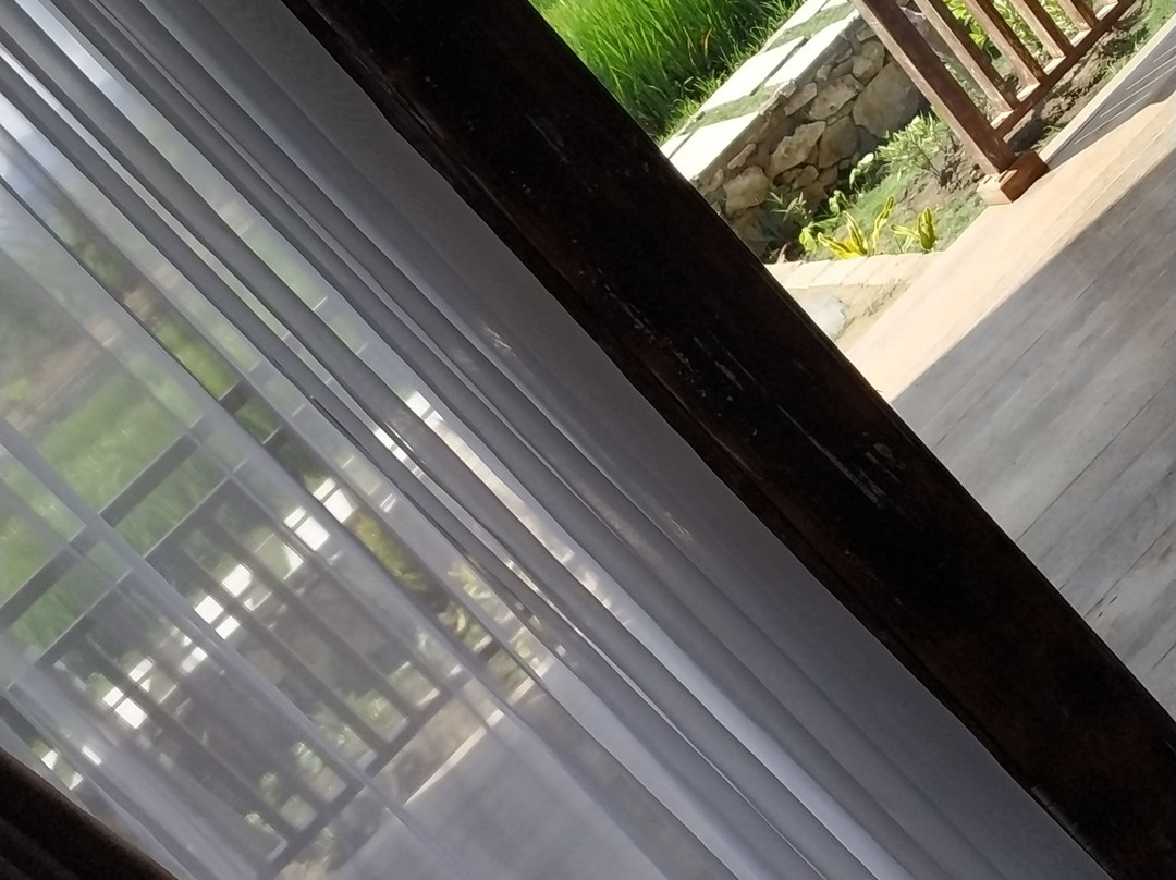 Umma Bali Menjangan主图