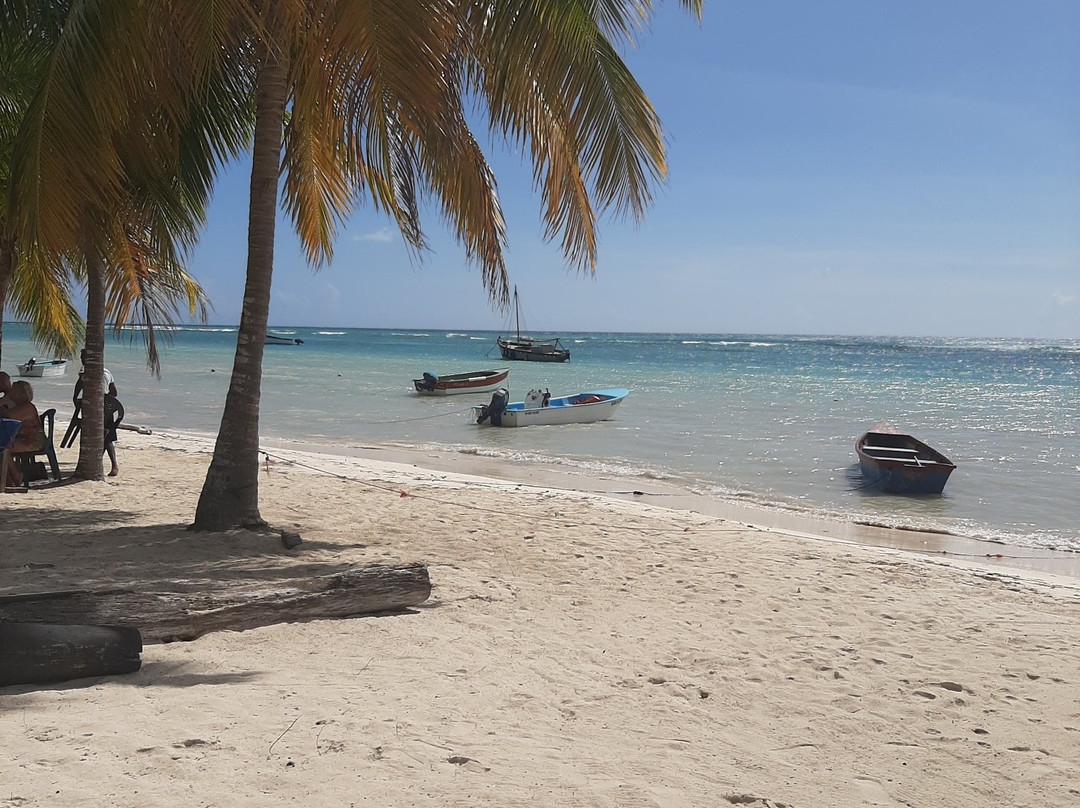 Saona Beach House主图