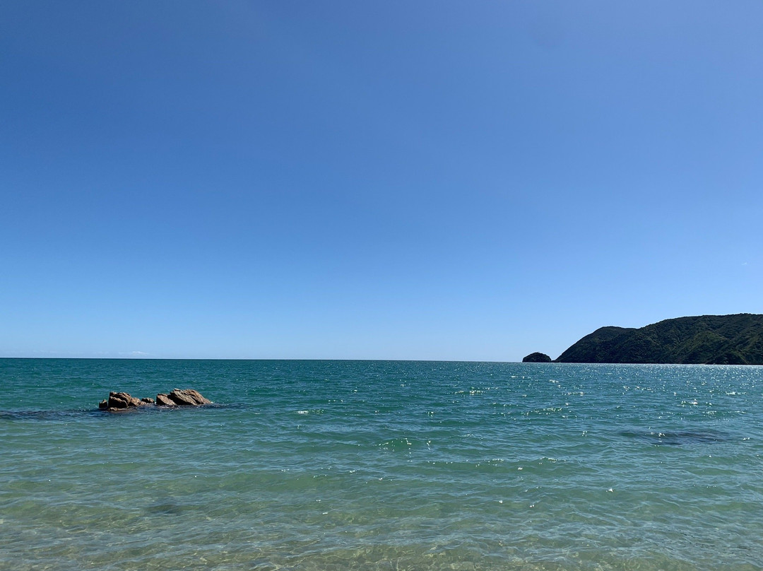 Golden Bay Kayaks景点图片