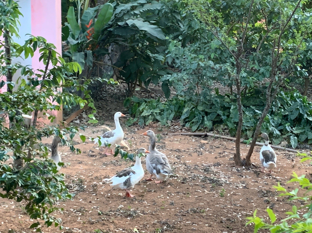 Pousada Solar dos Ipes主图