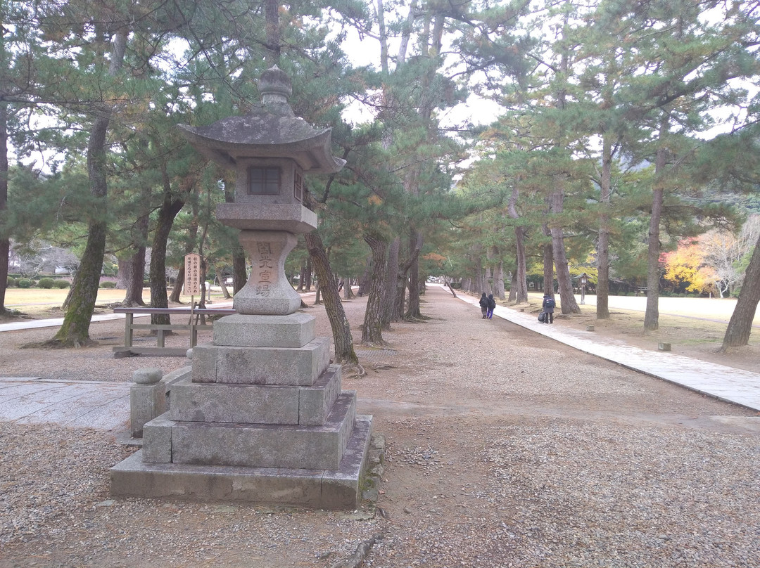 Pine Entrance Path-出云市必去景点