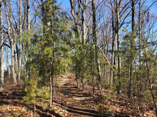 Jefferson Memorial Forest-Fairdale必去景点