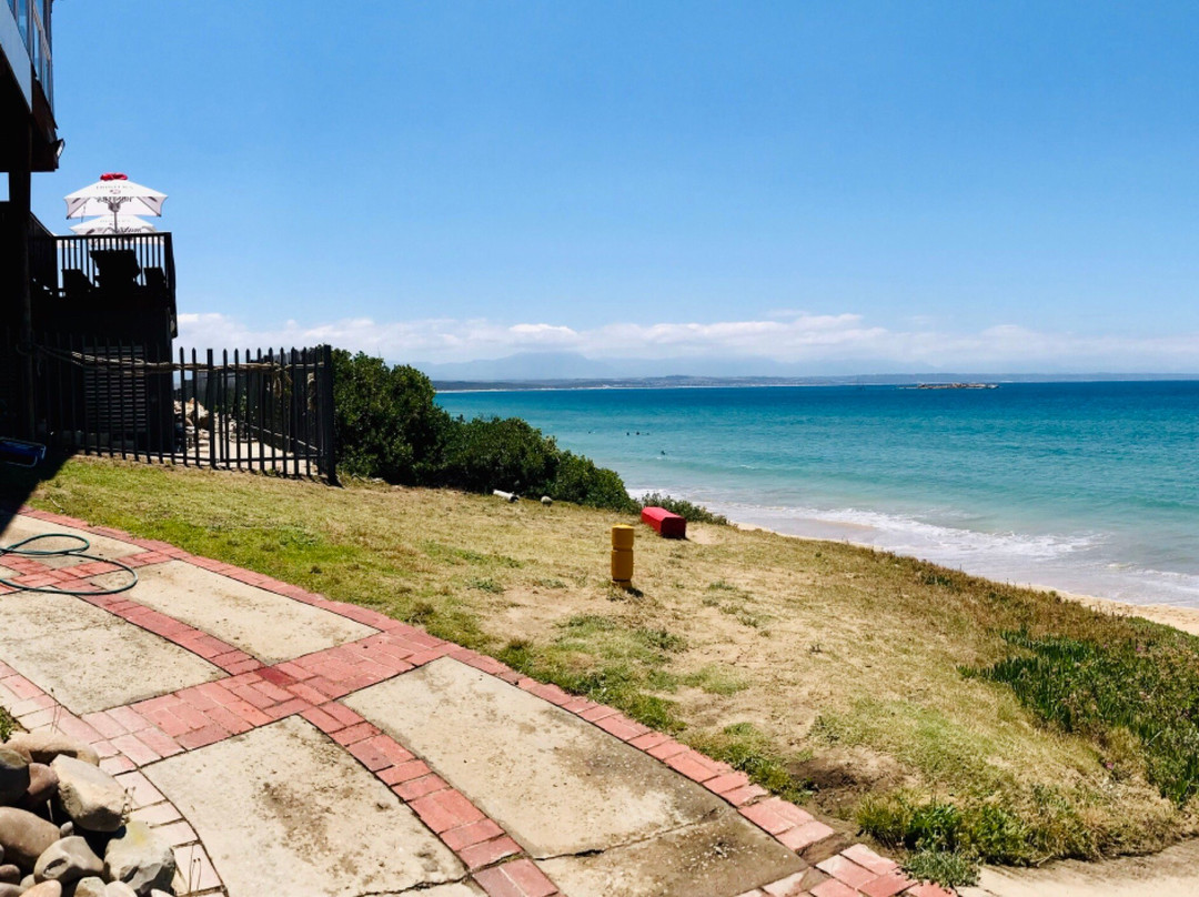 Surf's Up Mossel Bay-莫塞尔贝必去景点