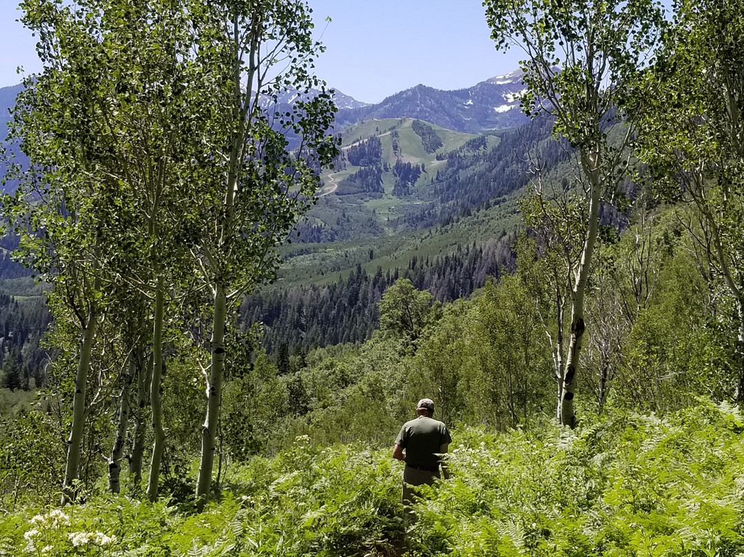 Provo Canyon景点图片