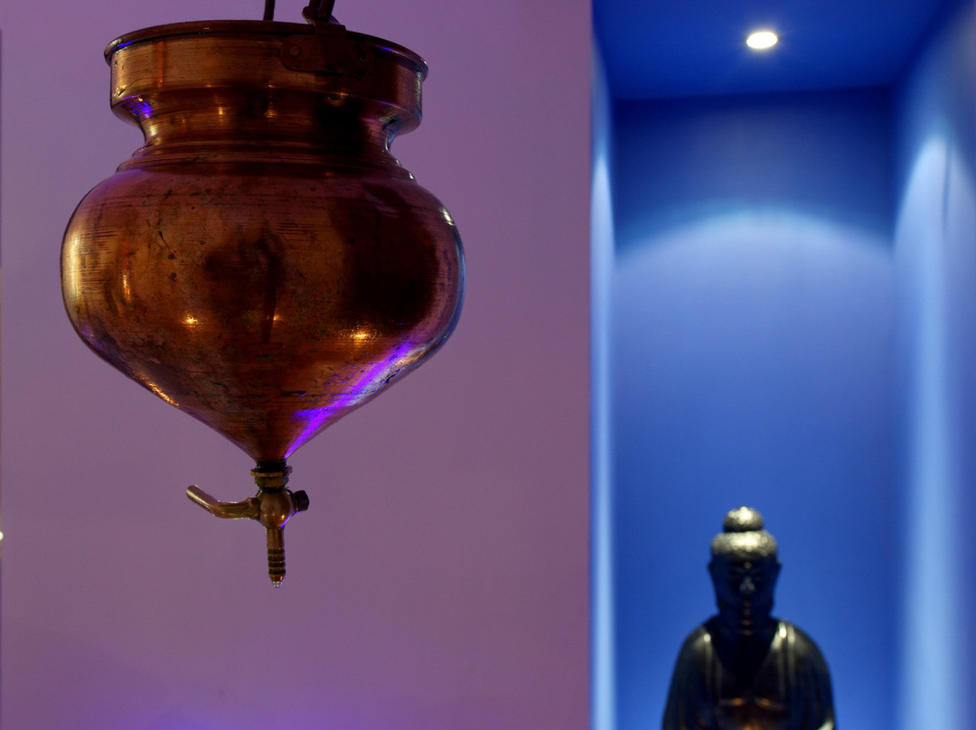 Centre Ayurvedique Aum Shanti景点图片