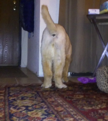 金泉赌场度假村主图